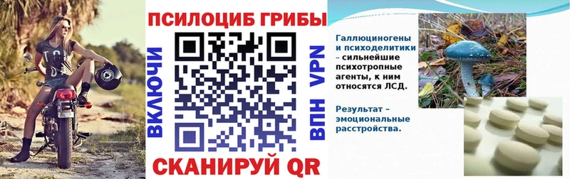 Псилоцибиновые грибы прущие грибы  Бежецк 